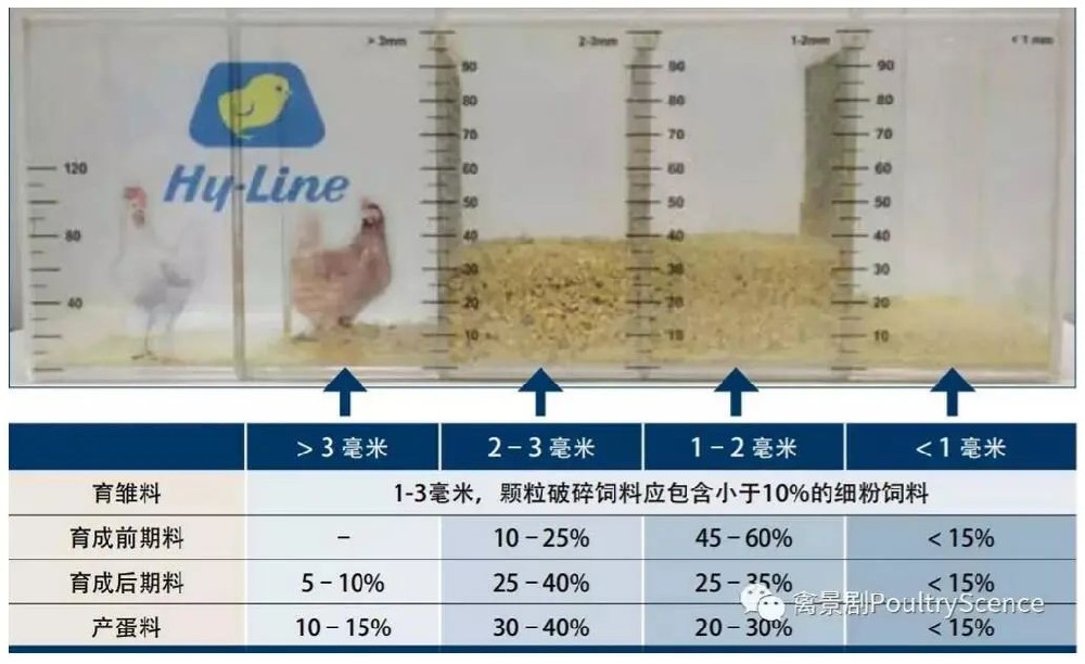 腾博会官网רҵЧ,Ϊ